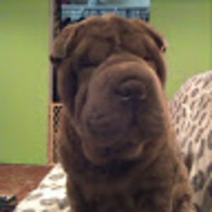 Meet your Posher, Vicenta